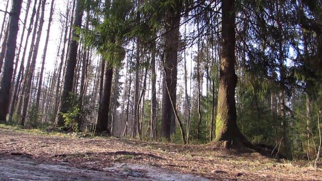 18.04.2019. В своих Энергиях. Клин Гусей. смотреть онлайн