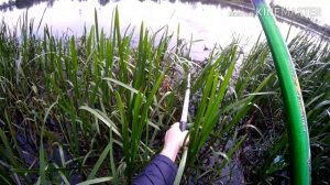 На что ловить язя? Рыбалка на язя.Ловля Язя  на Кораблик (саночки).На Майского Жука.