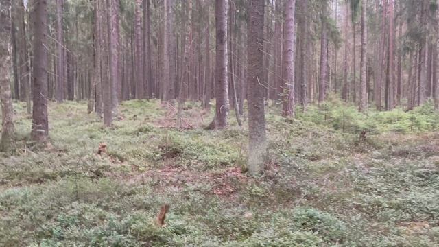 Выходные 14-08-2023