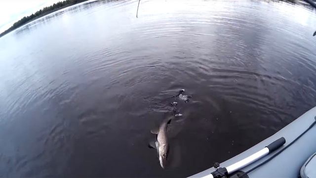 Щука 2016 смотреть онлайн