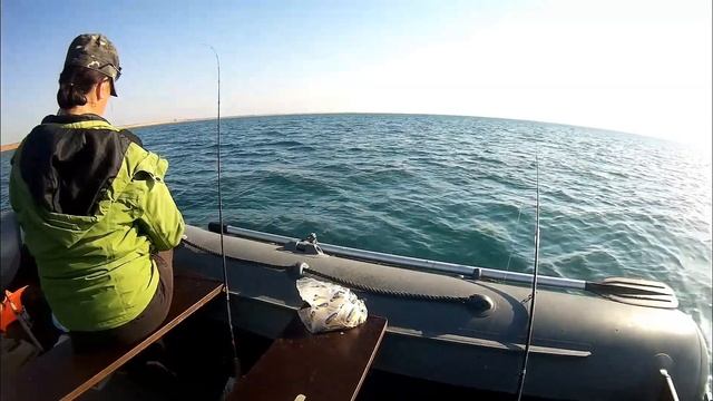 Рыбалка на ласкиря и окуня. смотреть онлайн