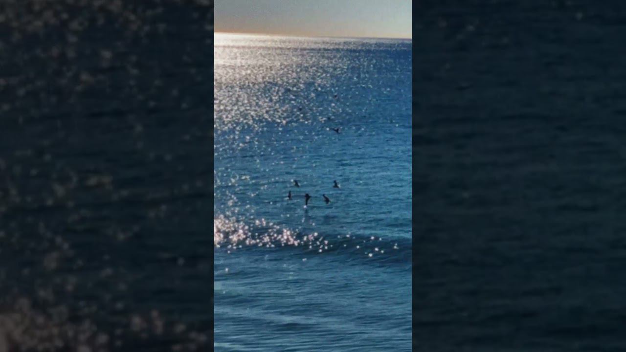 girl and sea смотреть онлайн