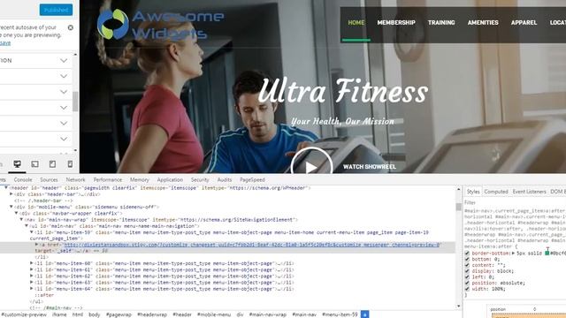 WordPress Custom CSS смотреть онлайн