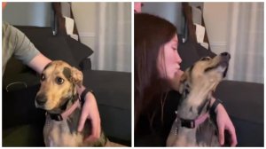 Толя, зачем ты ее вообще в дом привел? ?