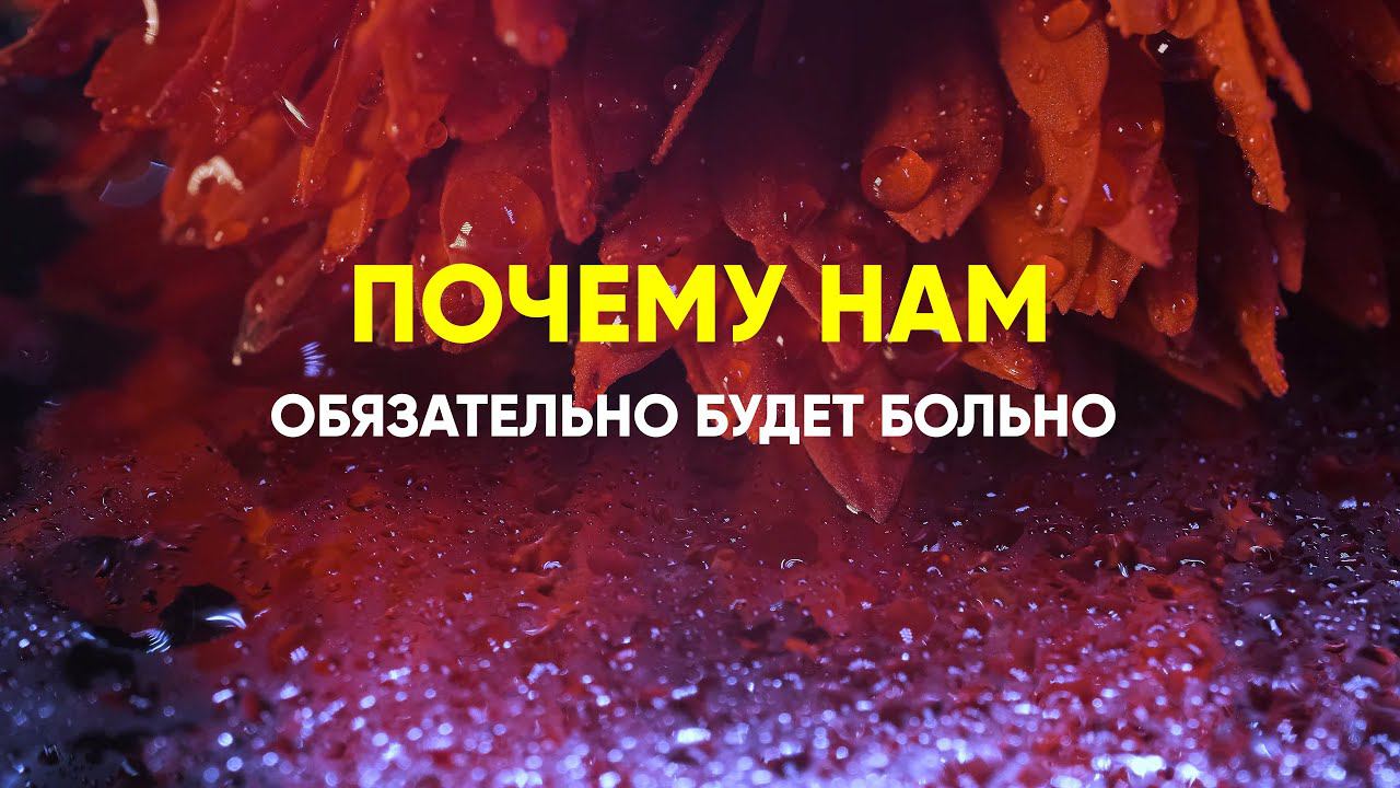 Почему нам обязательно будет больно смотреть онлайн