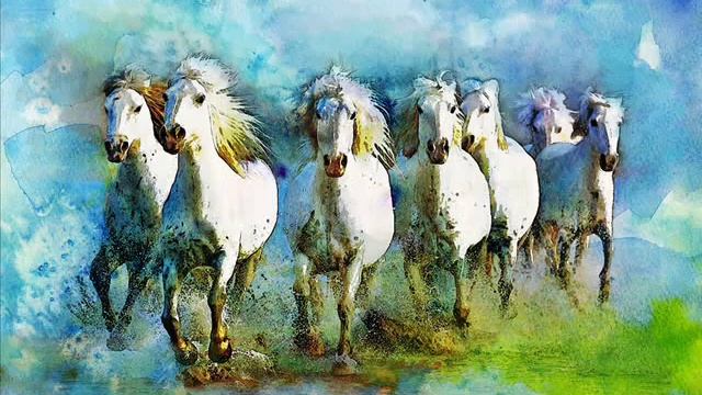 Horse Song, I LOVE HORSES! - 