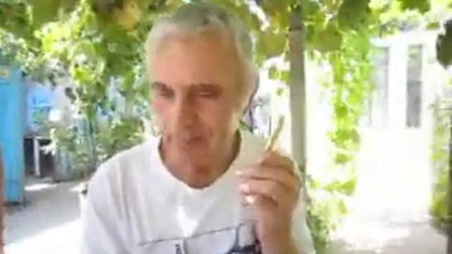 Папин День рождения ... смотреть онлайн