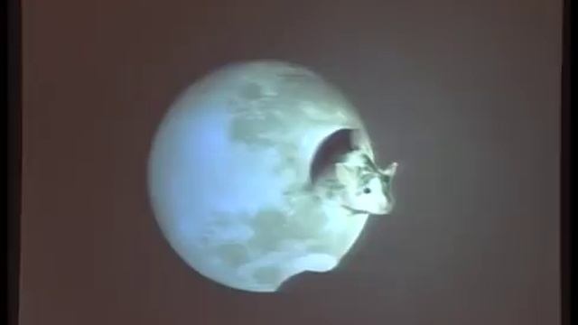 The Origin of the Universe - Prof Stephen Hawking смотреть онлайн
