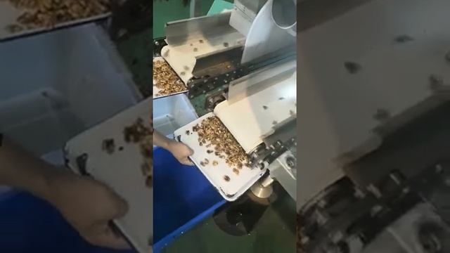 Сортировка грецкого ореха по цвету L4 смотреть онлайн