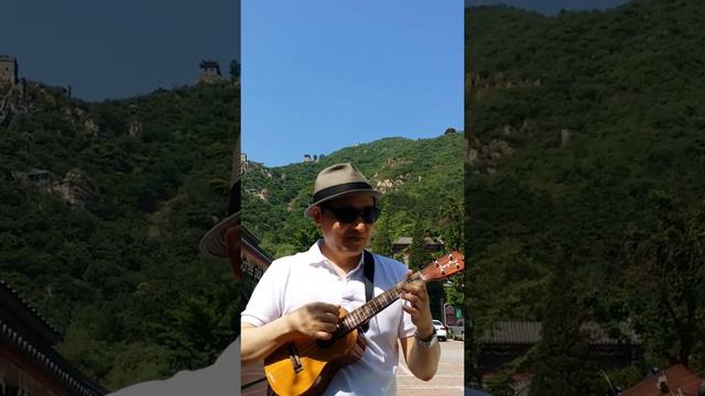 I'm Still loving you 첨밀밀 우쿨렐레연주 смотреть онлайн