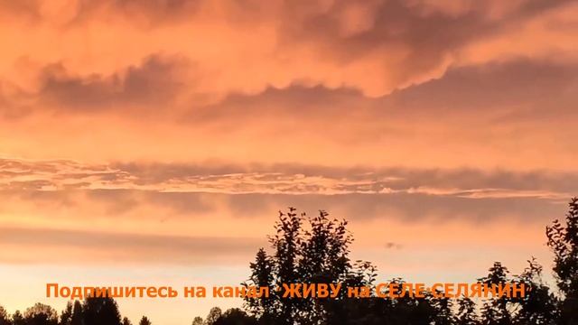ЗАКАТ, АТМОСФЕРНОЕ ВИДЕО/ЖИВУ на СЕЛЕ*СЕЛЯНИН смотреть онлайн