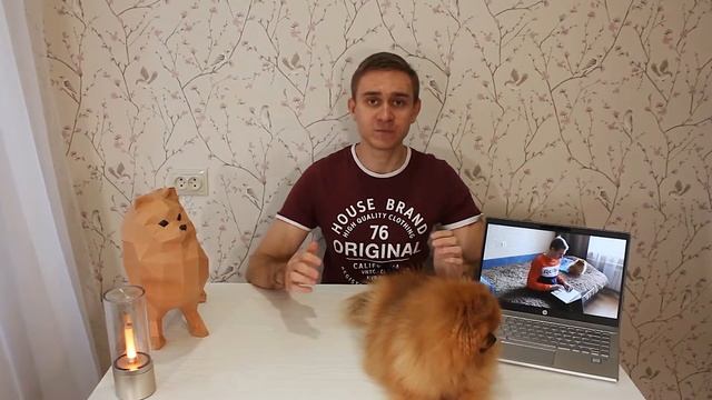 ПЛЮСЫ И МИНУСЫ ПОМЕРАНСКОГО ШПИЦА ? КРАТКО смотреть онлайн