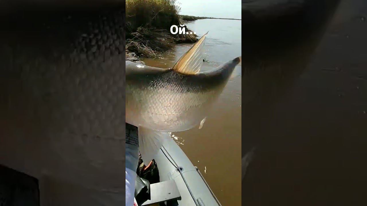 Ой... Рыбалка смотреть онлайн