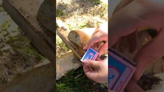 УМНЫЕ ЛАЙФХАКИ ДЛЯ КЕМПИНГА, ЧТОБЫ СПОКОЙНО НАСЛАЖДАТЬСЯ ПРИРОДОЙ смотреть онлайн