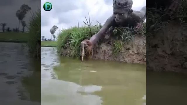 Для поднятия  настроение! #funnyanimals #tik Tok#funnycats #funnyvideo #kucinglucu #shorts