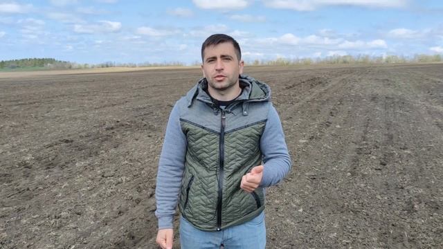 Рекомендации при посеве подсолнечника смотреть онлайн