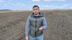 Рекомендации при посеве подсолнечника