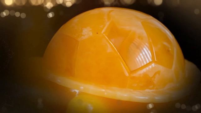 Шкатулка Черепаха из янтаря. Сувенир ручной работы. Baltamber смотреть онлайн