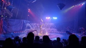 Цирк на воде 2 часть