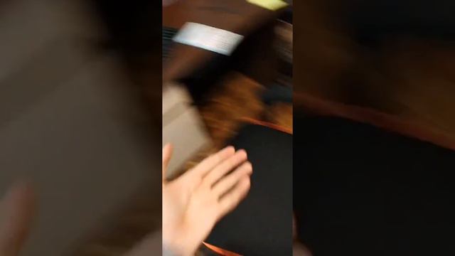 кот, стол, стул и ты смотреть онлайн