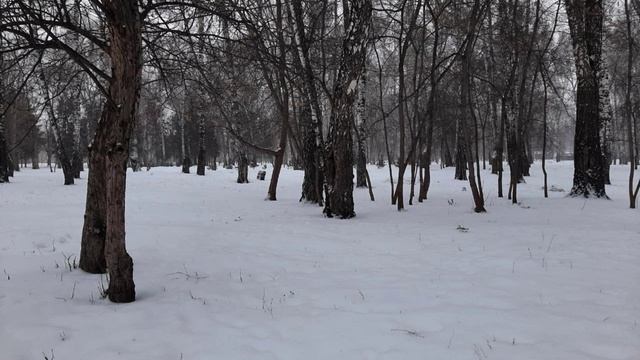 О чем книга ИСТАТ-2. смотреть онлайн