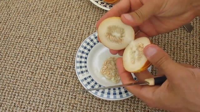 Вьетнамские дыни - первые впечатления