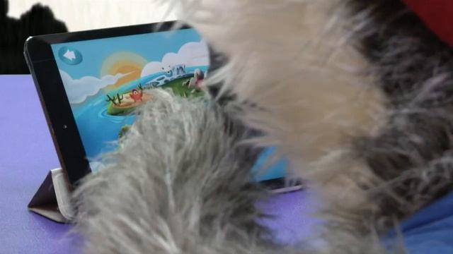 ЗуМу сборник лучших серий смотреть онлайн