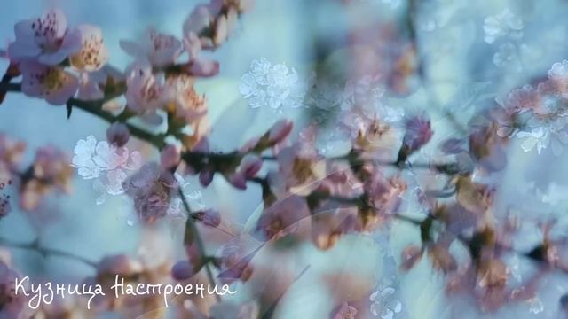 9 апреля Вербное Воскресенье. Что нельзя делать Вербное Воскресенье. Народные традиции и приметы. смотреть онлайн