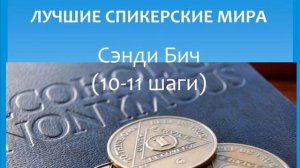 Сэнди Бич (10 - 11 шаги). Лучшие спикерские мира.  Анонимные алкоголики.