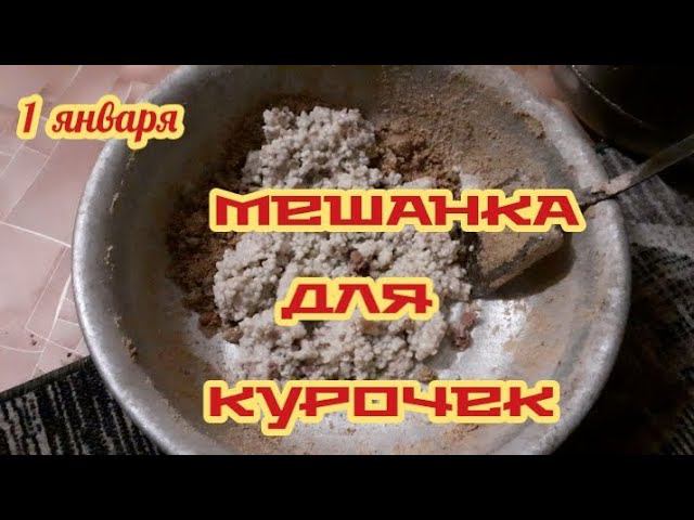 Утро. Мешанка для курочек.... смотреть онлайн