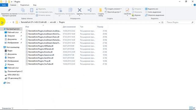 Запуск RemoteFork Server (Plugins) v1.40.0.12 смотреть онлайн