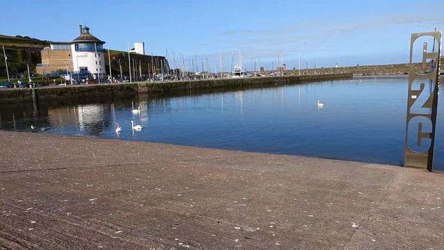 p950 Super Zoom Whitehaven смотреть онлайн