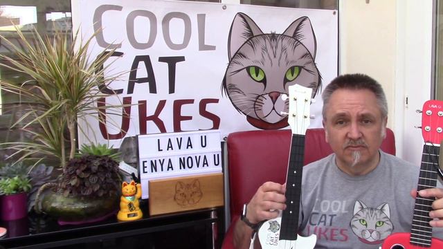 Enya Nova U and Lava U ukuleles compared смотреть онлайн