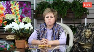 Все о выращивании гладиолусов ? Обработка, подкормки, полив, борьба с болезнями ? Прямой эфир