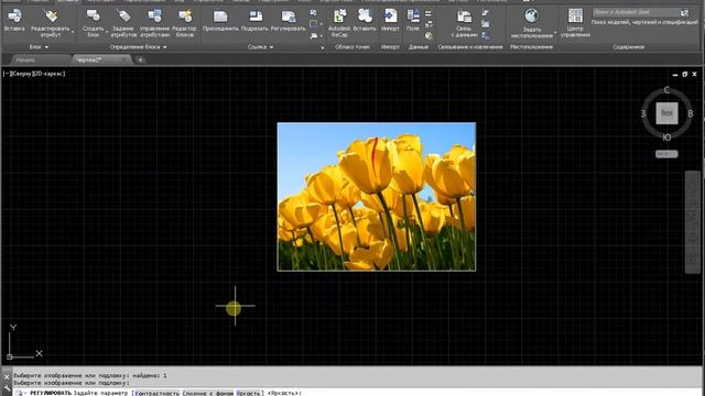Настройка растровых изображений на чертеже AutoCAD смотреть онлайн