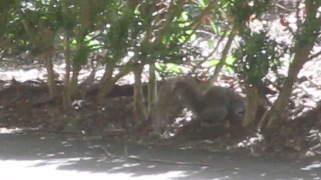 MVI 0949 смотреть онлайн