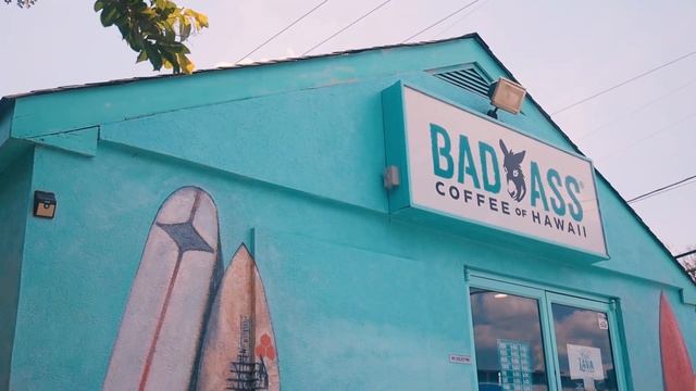 the BEST COFFEE STOPS in VIRGINIA BEACH + 1 bakery | Java Surf & Bad Ass Coffee смотреть онлайн