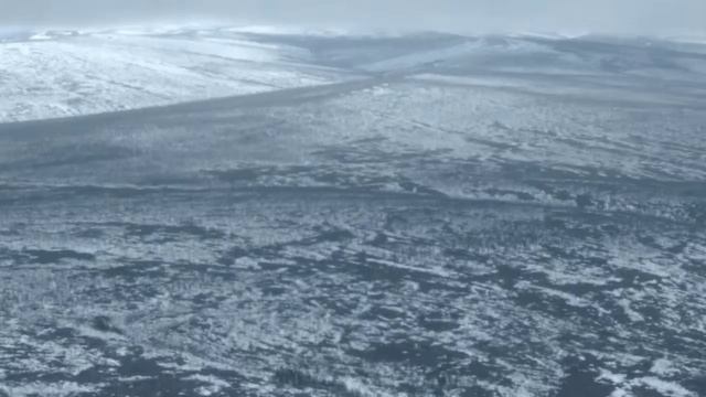 Never Alone получаем достижение Проницательность смотреть онлайн