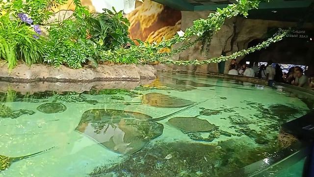 Осторожно ток ⚡⚡⚡⚡