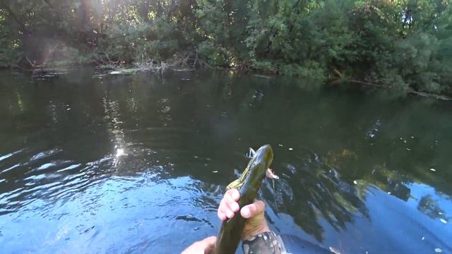 РЫБАЛКА НА ЩУКУ В АВГУСТЕ РЫБАЛКА НА СПИНИНГ смотреть онлайн