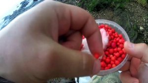 Городская рыбалка на Днепре/Ловля карася на соску , убийца карася. Первая рыбалка с сыном