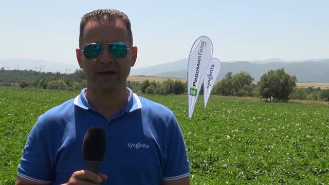 Ридомил Голд с Мед - приложение в картофопроизводството смотреть онлайн