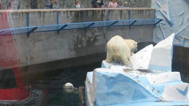 Герда на айсберге 11.07.2020 смотреть онлайн