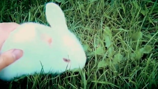 День в истории 15 04 21 смотреть онлайн