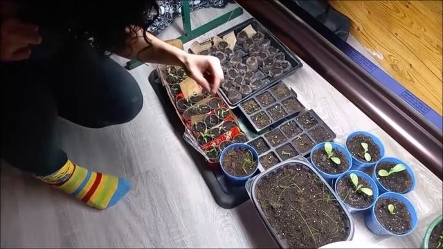 Getting An Early Start On Our Garden. смотреть онлайн