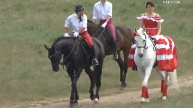 В Саратове прошло открытие 156-го сезона бегов на ипподроме смотреть онлайн