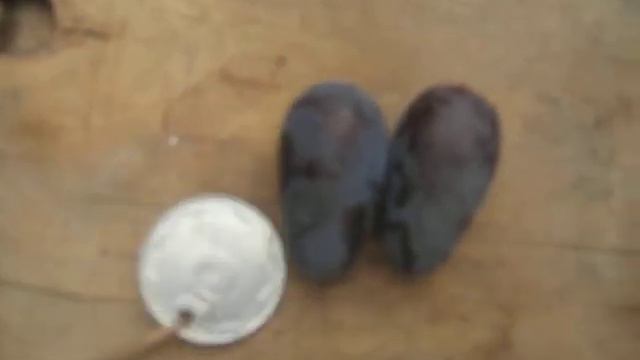 Виноград сорт Памяти Негруля 2017 смотреть онлайн