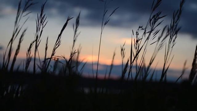 Расслабляющая музыка для погружения в себя. Relaxing music for a complete immersion in yourself. смотреть онлайн