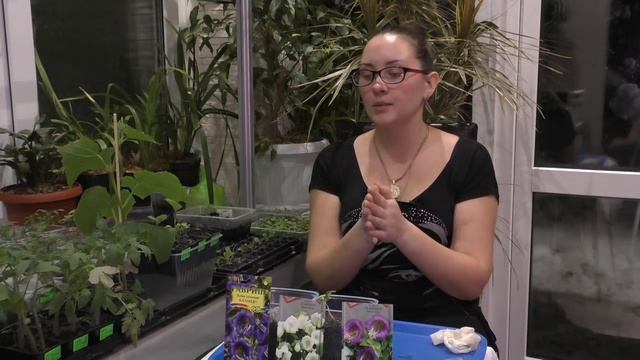 Кобея Лазающая! Первые всходы! смотреть онлайн