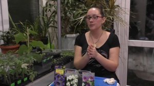 Кобея Лазающая! Первые всходы!